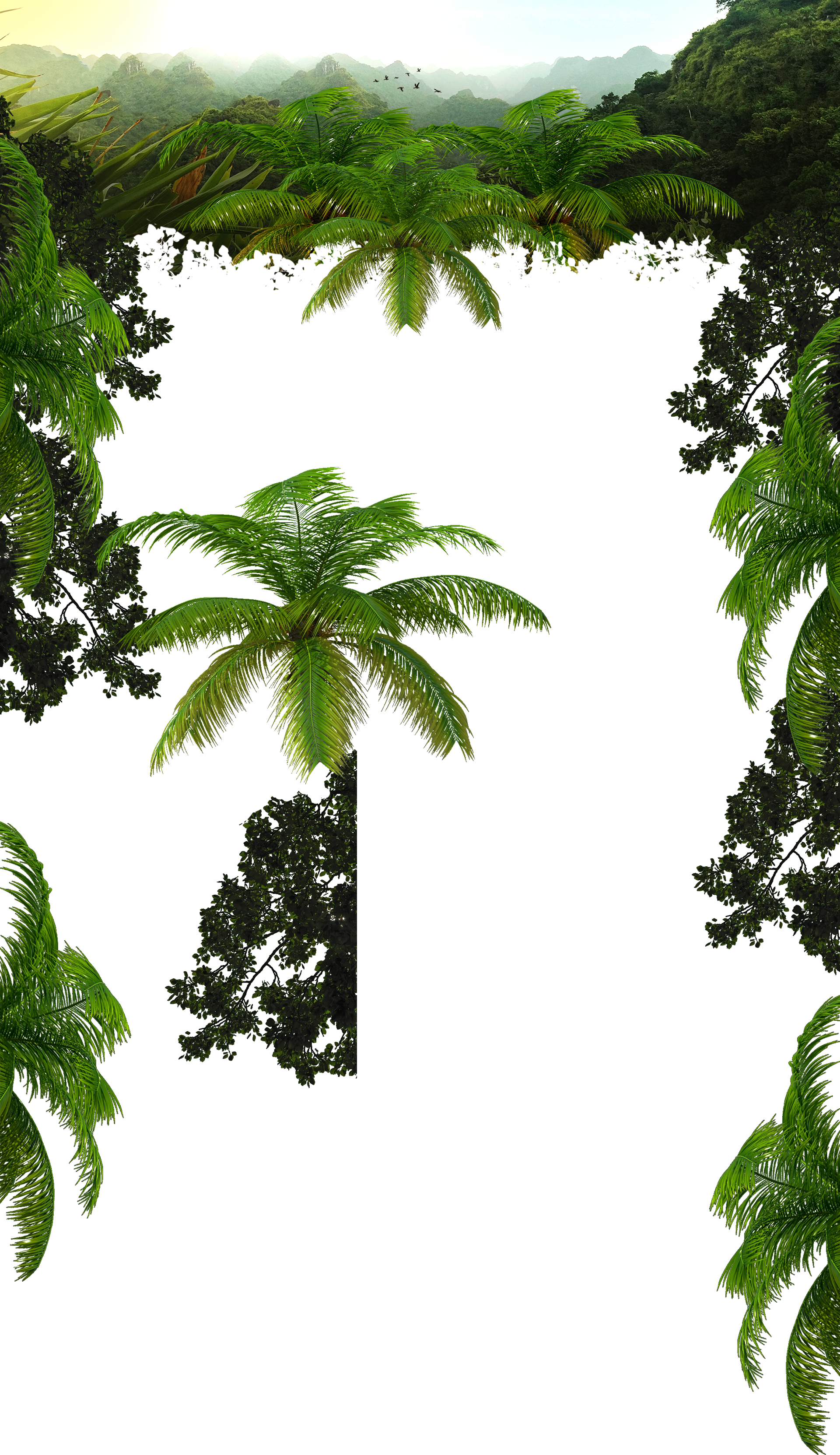 Jungle Background