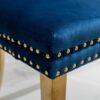 Nikki - Modern, High-End Tufted Solid Wood Contemporary Velvet Upholstered Dining Chair With Golden Stainless Steel Plating Legs, Nailhead Trim (Set of 2) - Blue / Gold - Image 12