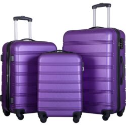 3 Piece Luggage Set Hardside Spinner Suitcase With Tsa Lock 20" 24" 28" Available - Purple