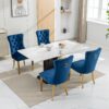 Nikki - Modern, High-End Tufted Solid Wood Contemporary Velvet Upholstered Dining Chair With Golden Stainless Steel Plating Legs, Nailhead Trim (Set of 2) - Blue / Gold - Image 16