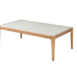 Gwynn - Frosted Glass Top Coffee Table - Natural