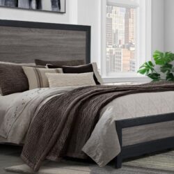 Soluto - Twin Bed - Black / Gray