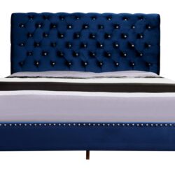 Button Tufted Upholstered Bed - Navy Blue