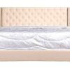 King Upholstered Transitional Bed - Beige - Image 3