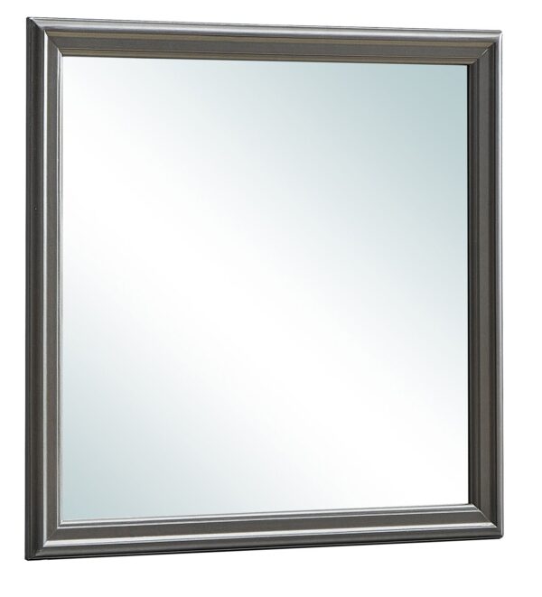 Elegant Transitional Mirror - Metalic Black