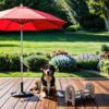 Adjustable Pet Bowl Travel Ready HDPE Durable Poly Lumber Recycled - Brown - Image 6