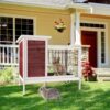 Two Tier Wooden Indoor / Outdoor Rabbit Cage For Small Animals With Runway And Leak-Proof Plastic Tray - Red - Image 6