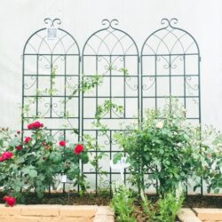 4 Pack Metal Garden Trellis Rustproof Trellis For Climbing Plant Outdoor Flower Support - Black