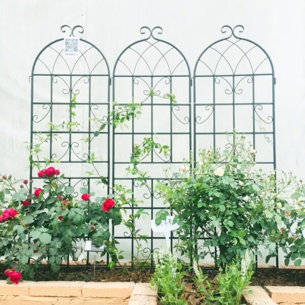 4 Pack Metal Garden Trellis Rustproof Trellis For Climbing Plant Outdoor Flower Support - Black