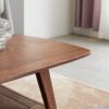 Center Low Coffee Table With Storage Shelf - Walnut - Image 6