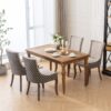 Ultra Side Dining Chair, Thickened Fabric Chairs With Neutrally Toned Solid Wood Legs, Bronze Nail Head, (Set of 2) - Beige / Patterned - Image 19