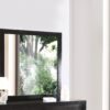 Modern Design Transitional Wall Mirror - Black - Image 7