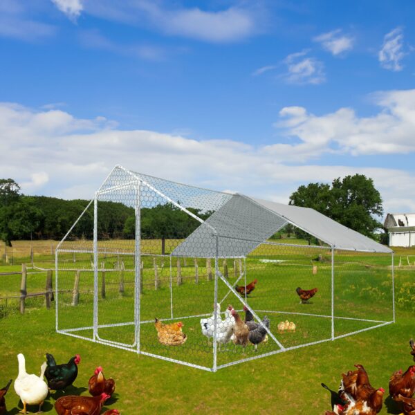 Xpt034 Outdoor Chicken Coop Metal Big Space - Silver Gray