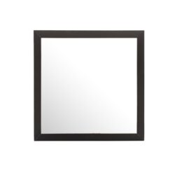 Modern Design Transitional Wall Mirror - Black