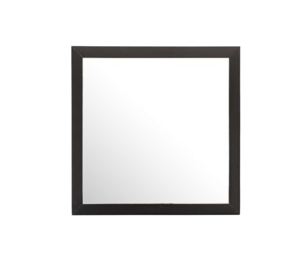 Modern Design Transitional Wall Mirror - Black