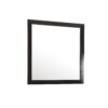 Modern Design Transitional Wall Mirror - Black - Image 2