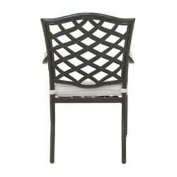 Dining Arm Chair (Set of 2) - Cast Silver