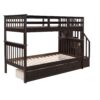 Stairway Twin Over Twin Bunk Bed With Three Drawers For Bedroom - Espresso - Image 6