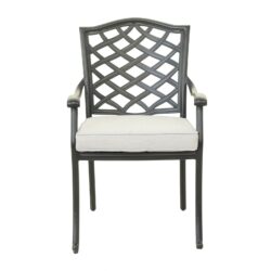 Dining Arm Chair (Set of 2) - Cast Silver