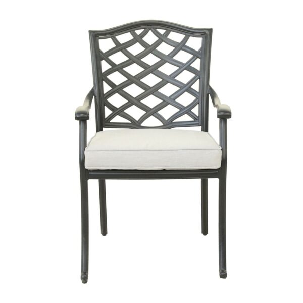 Dining Arm Chair (Set of 2) - Cast Silver
