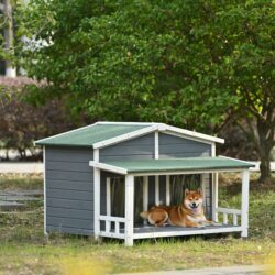 Large Wooden Dog House Outdoor / Indoor Dog Crate, Cabin Style, With Porch, 2 Doors - Gray / Green
