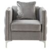 Bayberry - Velvet Chair With 1 Pillow - Gray - Image 2