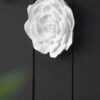 Rose Hanging Wall Accents (Set of 2) - White - Image 5