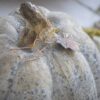 Mango Pumpkin Rustic, Home Decor For Holiday Harvest Festival Fall Festival & Thanksgiving - Gray - Image 7