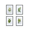 Botanical Flower Wall Art, Home Decor For Living Room Dining Room, Bedroom, Hallway (Set of 4) - White / Blue - Image 2