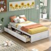 Twin Size Platform Storage Bed With 3 Drawers - White - Image 4