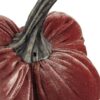 Velvet Weighted Pumpkin With Resin Stem Rusty (Set of 4) - Red - Image 7