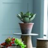 Galvanized Metal And Wood Cake Plates (Set of 2) - Brown - Image 13
