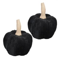 Velvet Pumpkin Large, For Holiday Halloween Decor (Set of 2) - Black