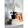 Book Boxes (Set of 2) - White / Gold - Image 11