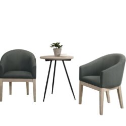 Neroli - Fabric Accent Chairs And Side Table Living Room (Set of 3) - Gray