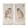 Lilith Owl Prints With Distressed Look, Rectangle Animal Hanging Wall Art (Set of 2) - Multicolor - Image 5