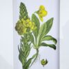 Botanical Flower Wall Art, Home Decor For Living Room Dining Room, Bedroom, Hallway (Set of 4) - White / Blue - Image 11