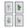 Botanical And Fern Wall Art, Wall Decor For Living Room Dining Room Entryway (Set of 4) - White / Black - Image 2