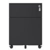 2 Drawer Mobile File Cabinet With Lock Steel File Cabinet For Legal / Letter / A4 / F4 Size/ Home / Office Design - Black - Image 2