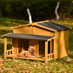 Large Wooden Dog House Outdoor / Indoor Dog Crate, Cabin Style, With Porch, 2 Doors - Natural