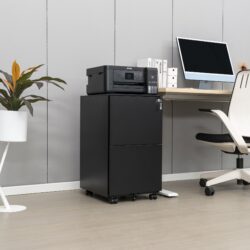 2 Drawer File Cabinet With Lock, Steel Mobile Filing Cabinet On Anti - Tilt Wheels, Rolling Locking Office Cabinets Under Desk For Legal / Letter Size - Black