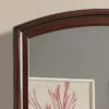 Ashford - Mirror - Cappuccino - Image 4