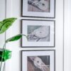 Rope Wall Art With Frame, Wall Decor For Living Room (Set of 3) - White / Black - Image 8