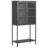 Heavy Duty Metal Storage Cabinet, Sideboards & Buffet, Display Storage Cabinet With Glass Doors And 2 Adjustable Shelves, Tall Bookcase Modern Bookshelf Cabinet For Home Office, Living Room - Black - Image 12