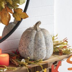 Mango Pumpkin Rustic, Home Decor For Holiday Harvest Festival Fall Festival & Thanksgiving - Gray