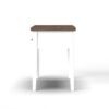 Hampton - Writing Desk - Jasmine Whitewash / Barnwood - Image 3