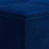 Avalon - Square Coffee Table Storage Ottoman - Blue - Image 8