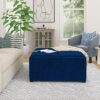 Avalon - Square Coffee Table Storage Ottoman - Blue - Image 9