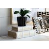Book Boxes (Set of 2) - White / Gold - Image 10