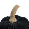 Velvet Pumpkin Large, For Holiday Halloween Decor (Set of 2) - Black - Image 4